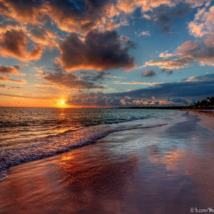 Meet your Posher, Leslie